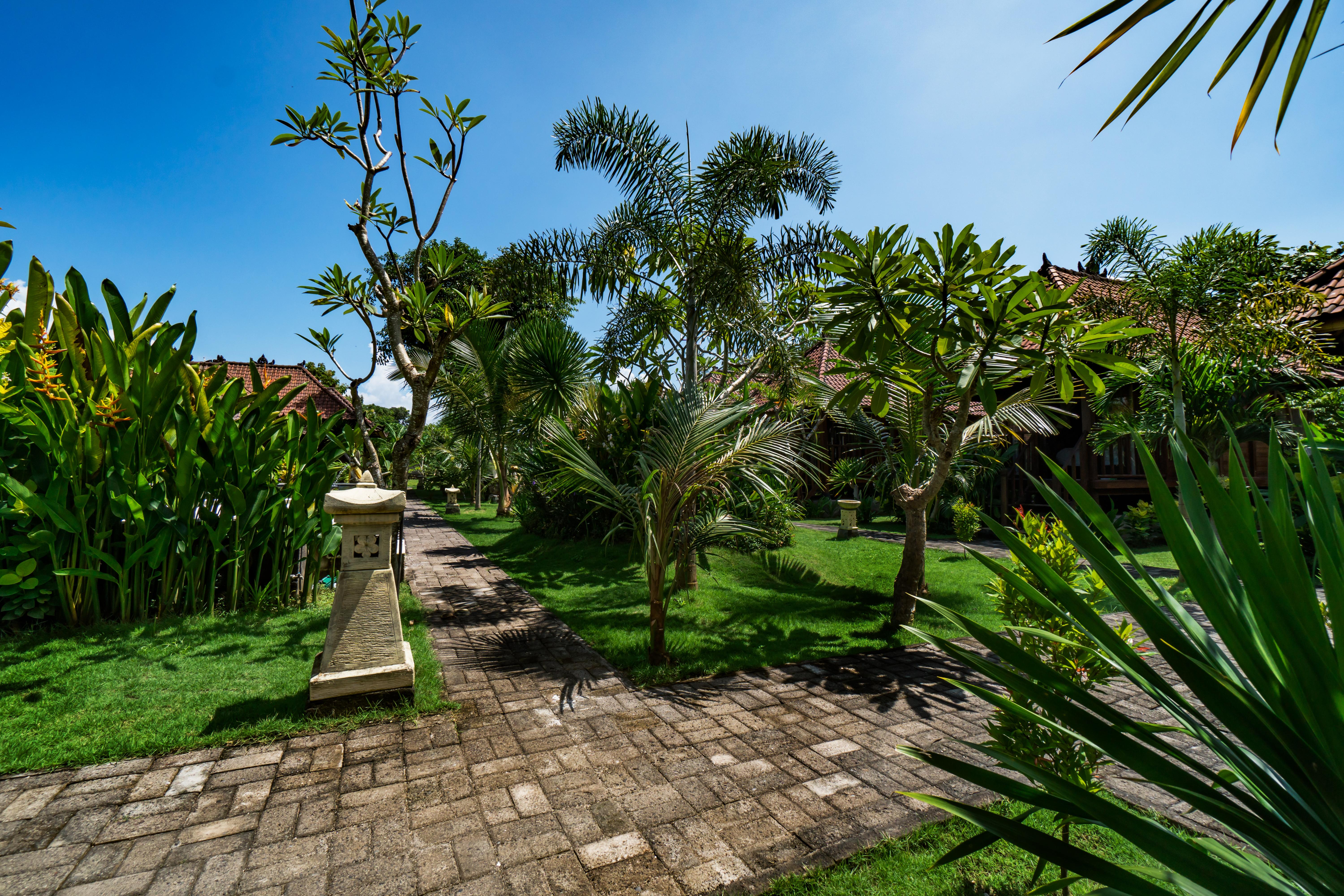 The Cozy Villas Lembongan Extérieur photo